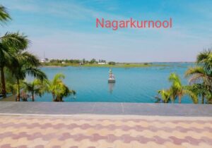 Nagarkurnool 