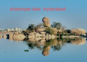 shamirpet lake