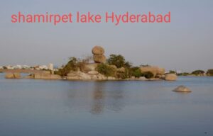 shamirpet lake