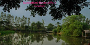 sundarbans national park reviews