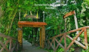 sundarbans national park reviews